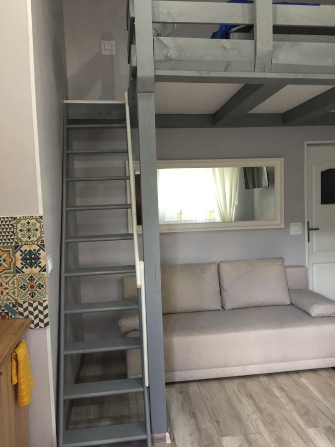 Apartamenty Przystan ミエンジズドロイェ エクステリア 写真