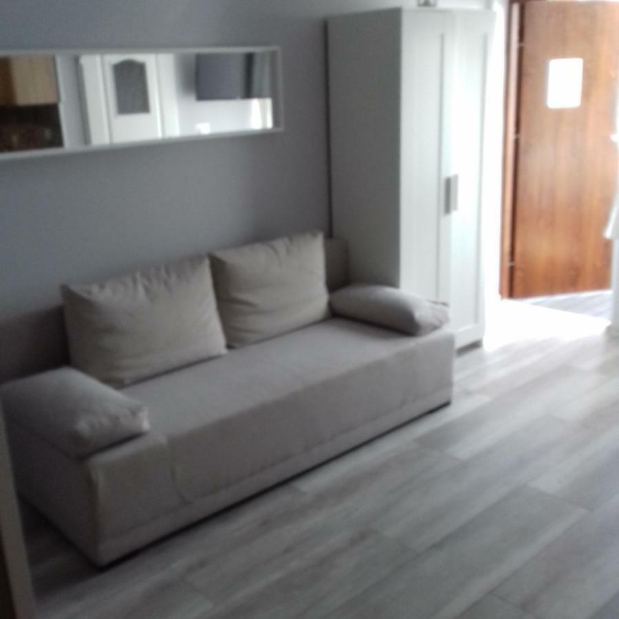 Apartamenty Przystan ミエンジズドロイェ エクステリア 写真